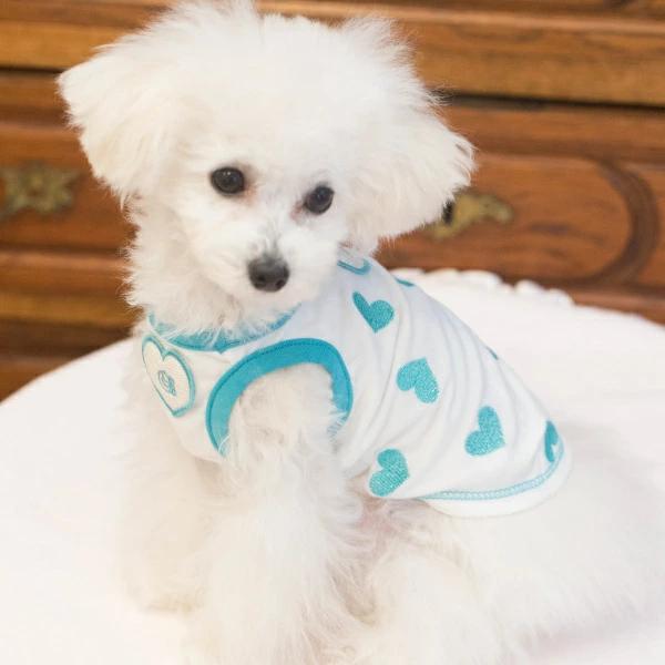 BUL BU-BU (ブルブブ) 犬服 【公式通販】