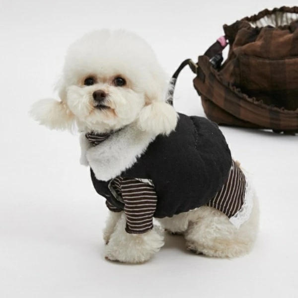 ルイスドッグ louisdog Black Beauty Linen Padded Jacket【小型犬 犬服 アウター ジャケット セレブ 】_6