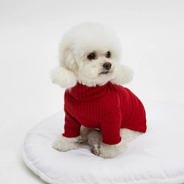 louisdog ルイスドッグのおすすめ人気商品一覧 通販 - Yahoo