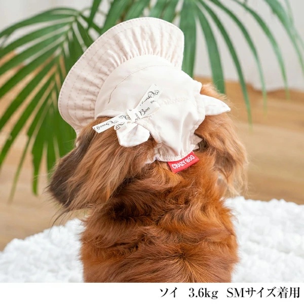 クレイジーブー CRAZYBOO くま耳帽子 S/SM【犬服 小型犬 ドッグウエア