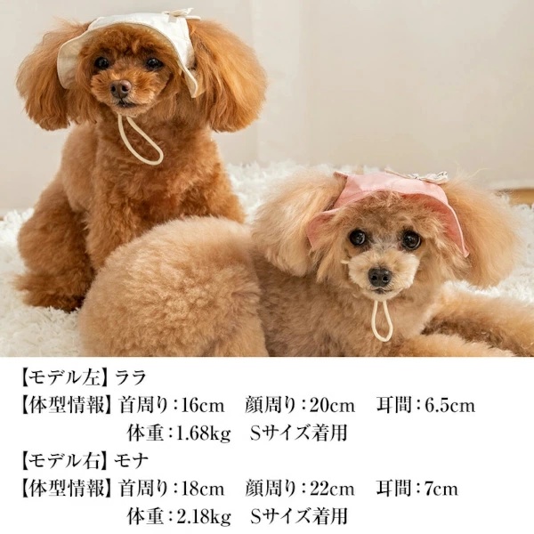 クレイジーブー CRAZYBOO くま耳帽子 S/SM【犬服 小型犬 ドッグウエア