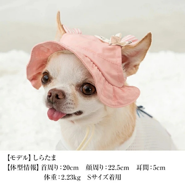 クレイジーブー CRAZYBOO くま耳帽子 S/SM【犬服 小型犬 ドッグウエア
