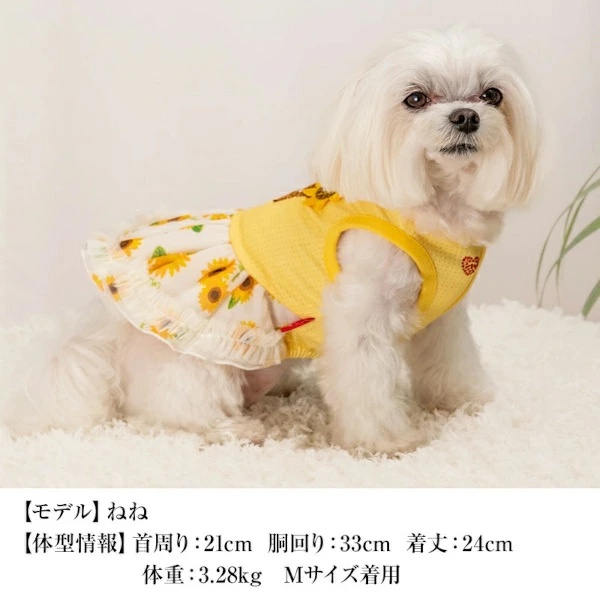クレイジーブー CRAZYBOO ひまわりシフォンワンピ XS/S【犬服 小型犬