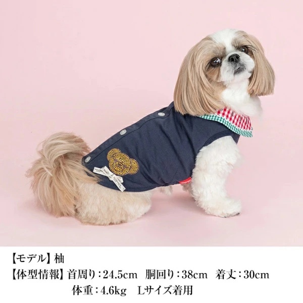 クレイジーブー CRAZYBOO スイカ襟タンク M/L/DXS/DS/DM【犬服 小型犬