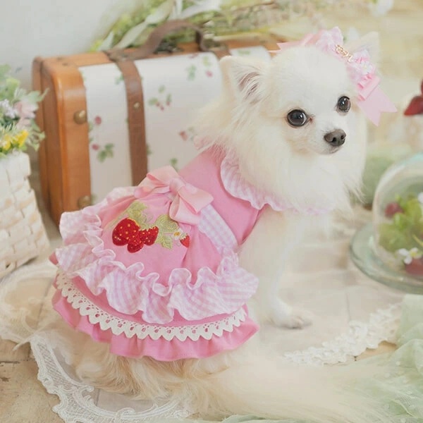 familiar ワンピース 90 犬刺繍付き 楽天市場】【 ワンピース 犬 服 】iDog 小花柄フリル付きタンク