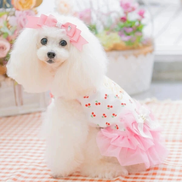 きゃんナナ CanNana さくらんぼカットソードッキングワンピース 1156