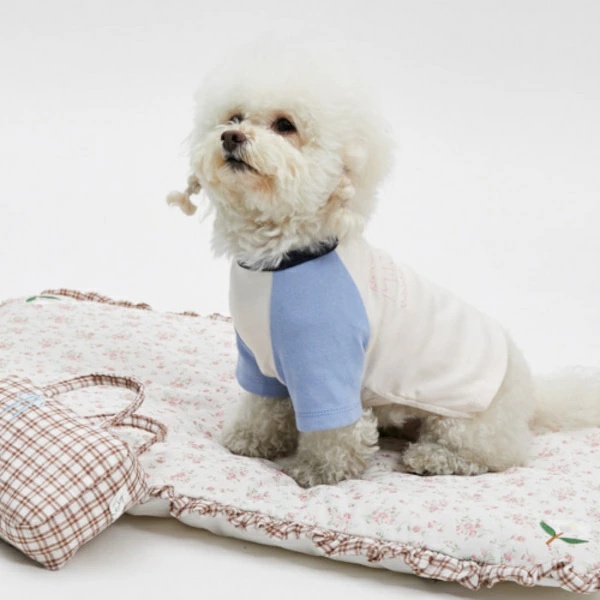 louisdog ルイスドッグのおすすめ人気商品一覧 通販 - Yahoo
