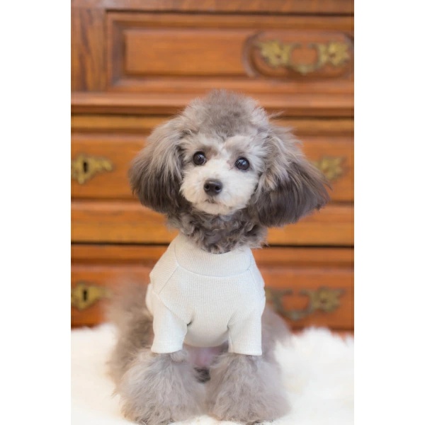 bul bu bu SSLサイズ ブルブブ BUL BU-BU 犬服 SSLサイズ