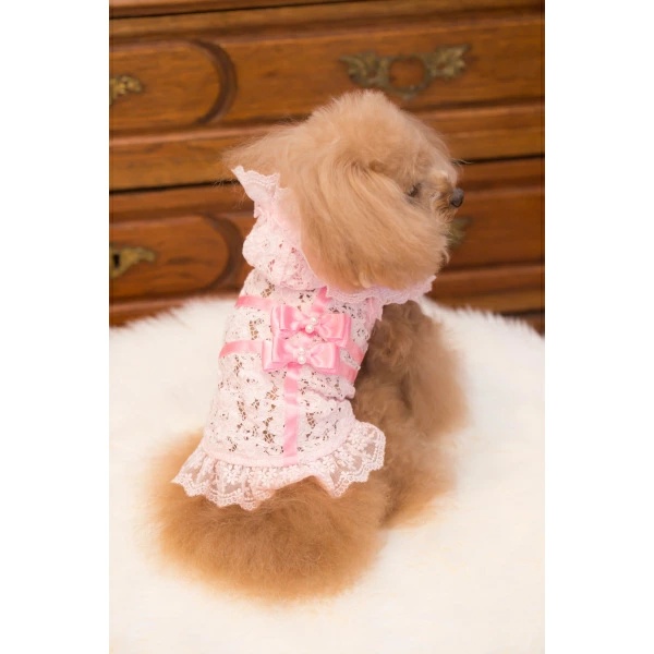 ブルブブ BUL BU-BU ラッピングレースP/K XXS/XS【小型犬 犬服 ウエア トップス パーカー セレブ】の画像