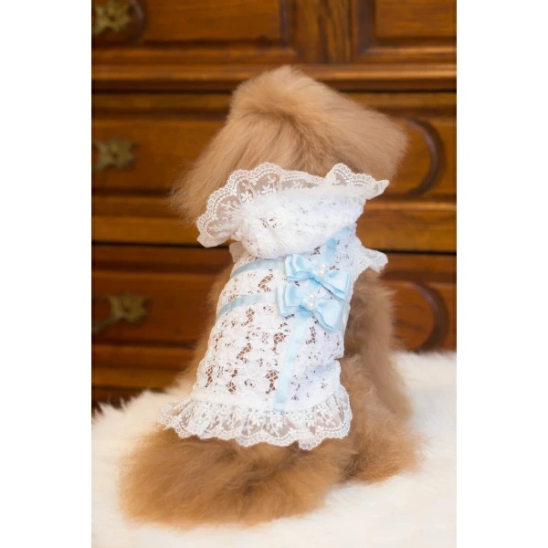 ブルブブ BUL BU-BU ラッピングレースP/K XXS/XS【小型犬 犬服 ウエア トップス パーカー セレブ】の画像