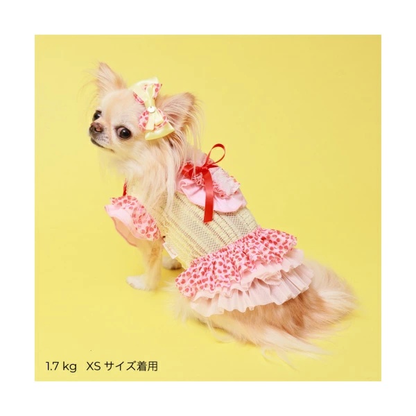 ゴッドピヴァ GODPIVA いちごフリルワンピース【小型犬 犬服