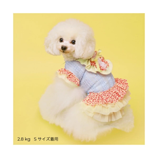 ゴッドピヴァ GODPIVA いちごフリルワンピース【小型犬 犬服