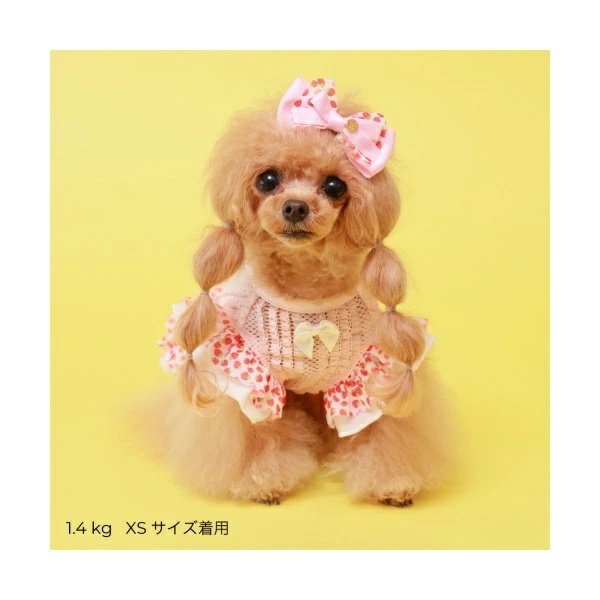 ゴッドピヴァ GODPIVA いちごフリルワンピース【小型犬 犬服