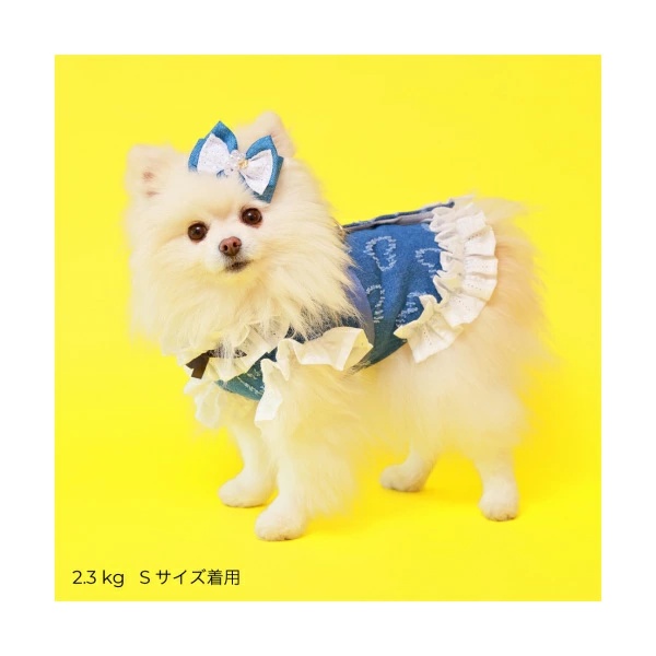 ゴッドピヴァ GODPIVA☆※5月下旬より順次発送☆COOLガーリーデニム