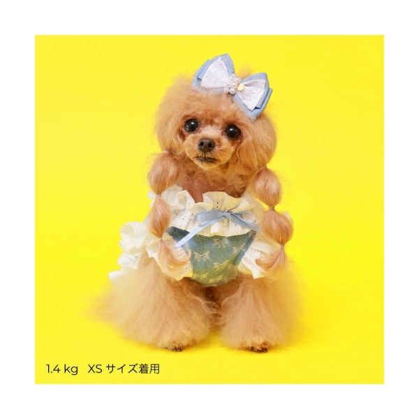 ゴッドピヴァ GODPIVA☆※5月下旬より順次発送☆COOLガーリー