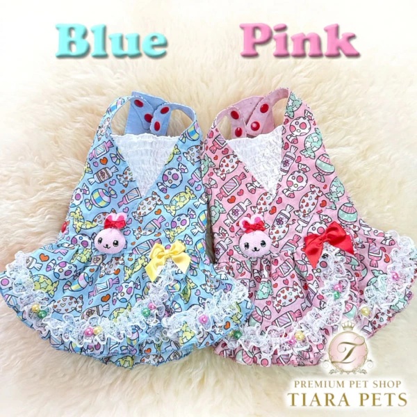 J&K animals (3Sサイズ)　ニットワンピース　犬服 J&Kアニマルズ J&K animals☆予約受付中☆キャンディー