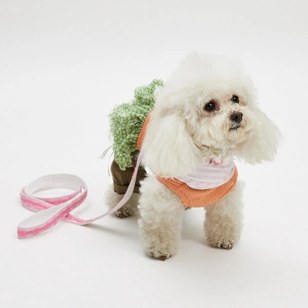 ルイスドッグ louisdog Walk With Me/Baby Doll【小型犬 犬用 ハーネス リード セット セレブ】_7