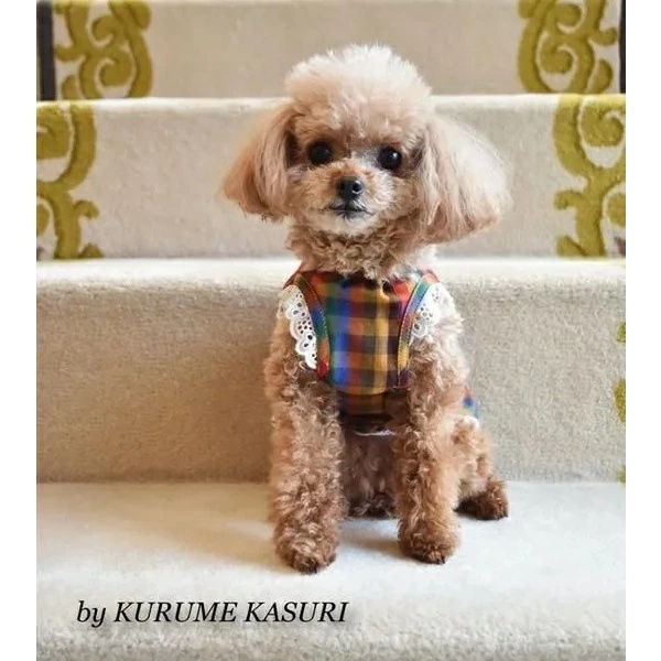 プエルト PUERTO KASURIガーデンエプロン（ブロックチェック）3h/4【小型犬 犬服 ウエア トップス カットソー エプロン セレブ】の画像