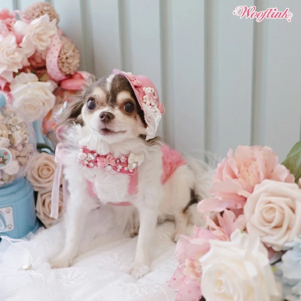 TIARA PETS JAPAN - WOOFLINK ウーフリンク｜Yahoo!ショッピング