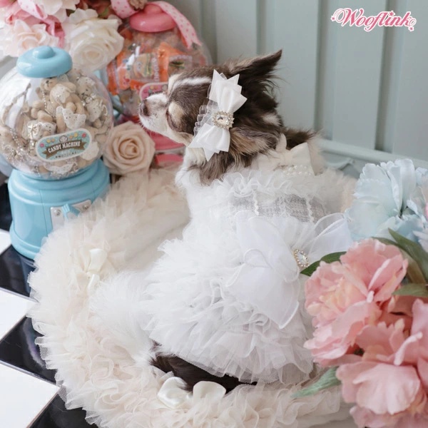 ♡fu ウーフリンク ワンピース2点とベレー帽1点♡ ウーフリンク WOOFLINK FUR BERET 小型犬 犬服 ウエア 帽子