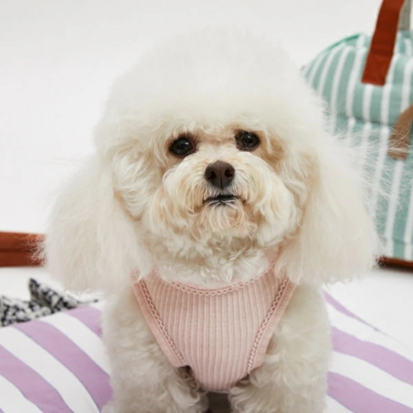 【最新入荷】 louisdog ルイスドッグのおすすめ人気商品一覧 通販 - Yahoo 犬服・アクセサリー