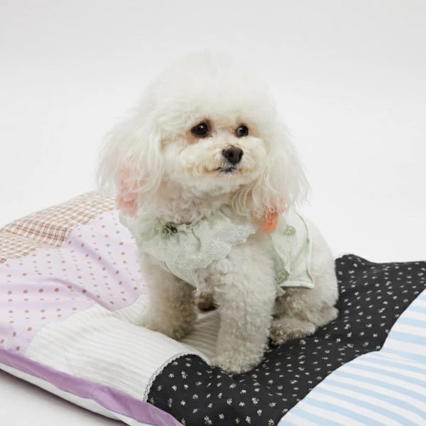 louisdog ルイスドッグのおすすめ人気商品一覧 通販 - Yahoo
