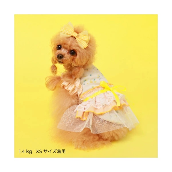 『最終値下げ』新品 GODPIVA フルーツフリルワンピース 犬服　SM 楽天市場】ゴッドピヴァ GODPIVA HAPPYハートフリルワンピース