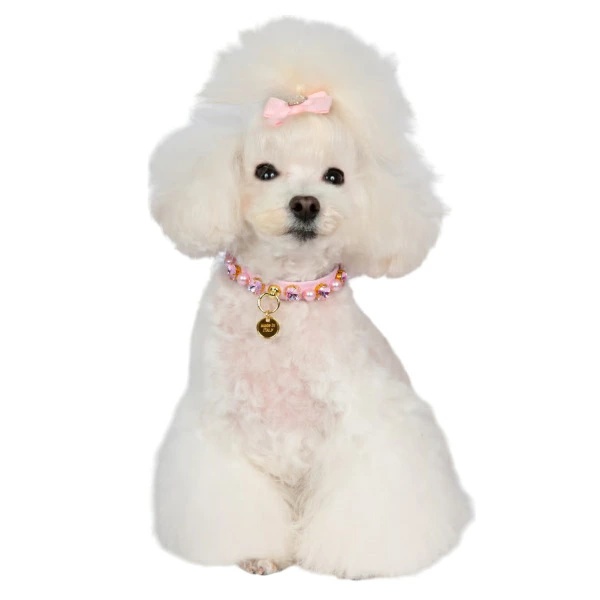シャーロットドレス Charlotte's Dress Art. f1526N collar Lidia【小型犬用 犬用 カラー 首輪 セレブ】_3