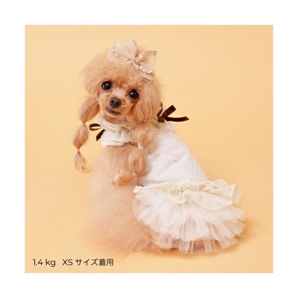 ゴッドピヴァ GODPIVA★ご予約★COOLフラワーチュチュワンピース※5月上旬より順次発送【小型犬 犬服 ワンピース ドレス スカート セレブ】の画像