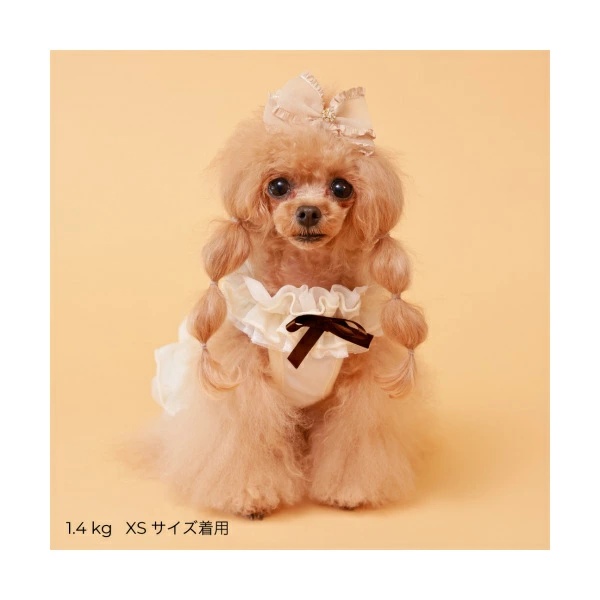 ゴッドピヴァ GODPIVA★ご予約★COOLフラワーチュチュワンピース※5月上旬より順次発送【小型犬 犬服 ワンピース ドレス スカート セレブ】の画像