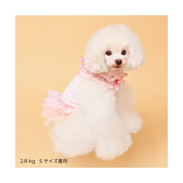 ゴッドピヴァ GODPIVA★ご予約★COOLフラワーチュチュワンピース※5月上旬より順次発送【小型犬 犬服 ワンピース ドレス スカート セレブ】の画像