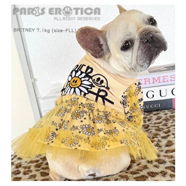 TIARA PETS JAPAN - PARIERO パリエロ｜Yahoo!ショッピング