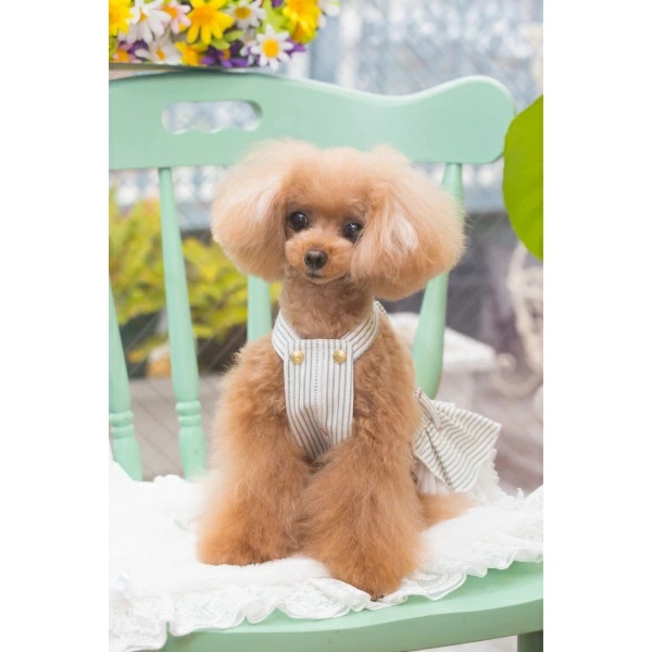 ブルブブ BUL BU-BU ヒッコリーJSK【小型犬 犬服 ウエア ジャンパー