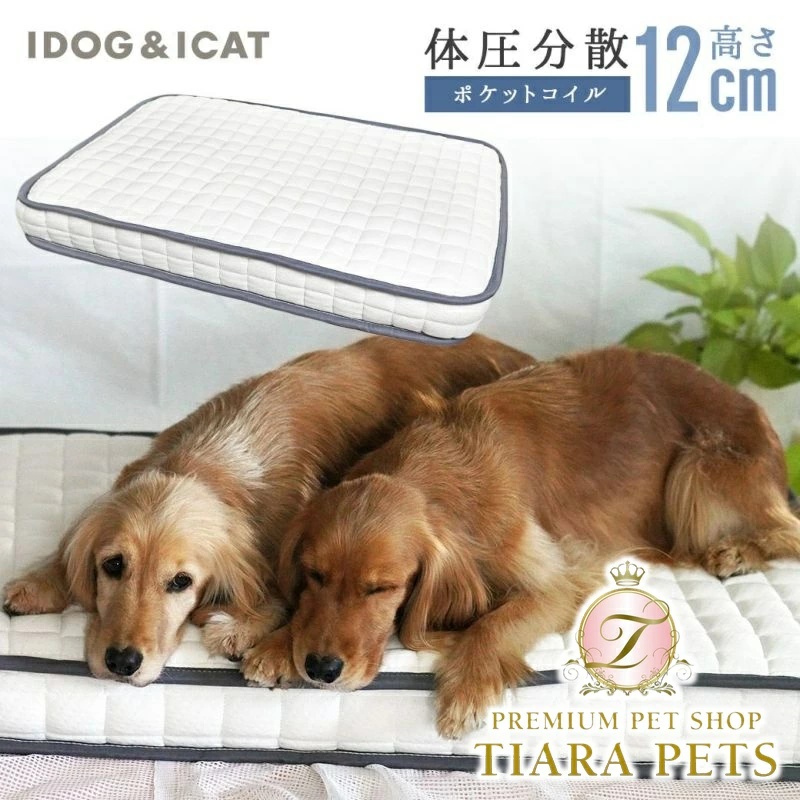 アイドッグ iDog ポケットコイルマットレス コンフォートスリープ 愛犬用95×65cm[17314]【小型犬 犬用 マット セレブ】