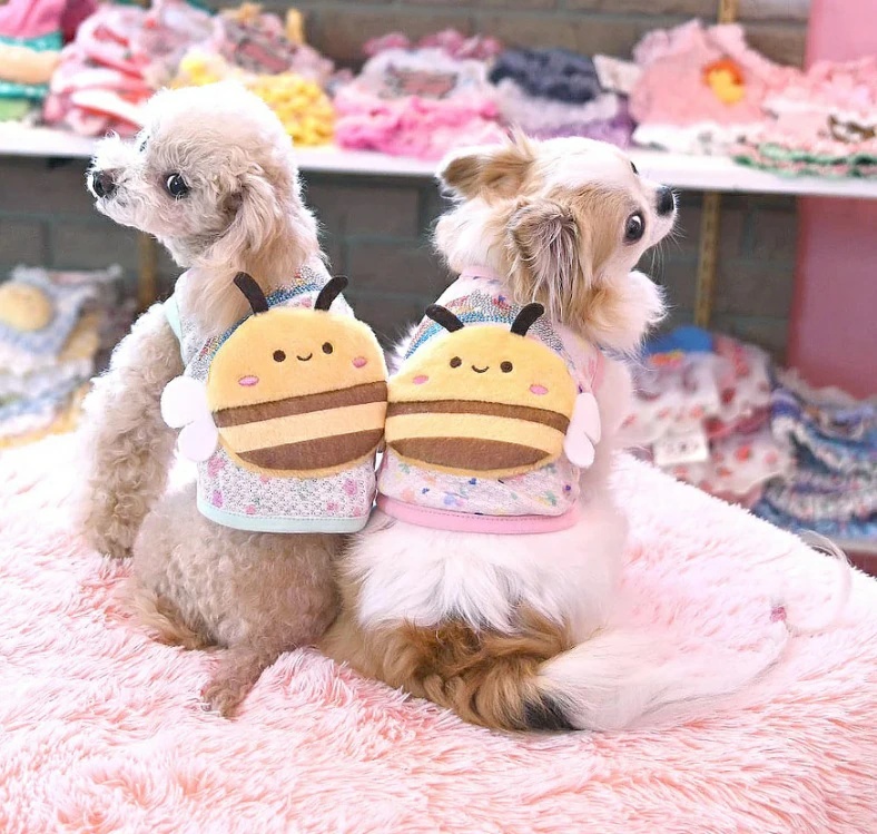J&Kアニマルズ J&K animals☆予約受付中☆ハチTシャツ M 犬服