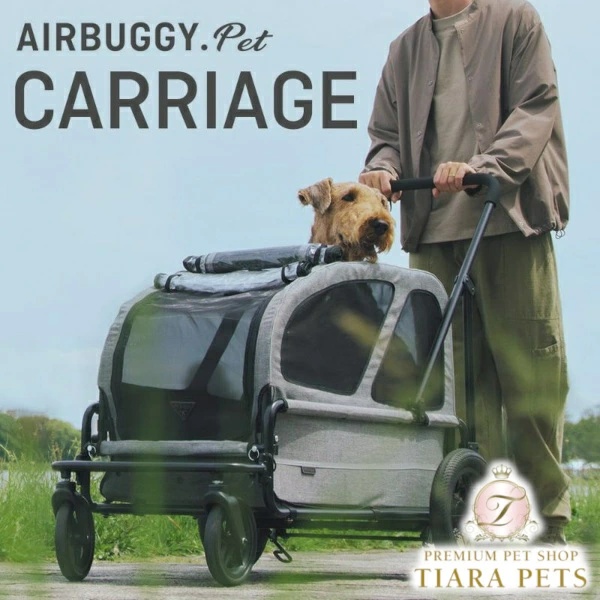 エアバギー AirBuggy エアバギー キャリッジ 2点セット [台車