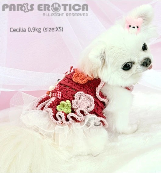 パリエロのおすすめ人気商品一覧 通販 - Yahoo!ショッピング