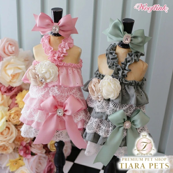 サーカスサーカス circus ☆先行予約10月中〜下旬☆Toy Bear Dress up