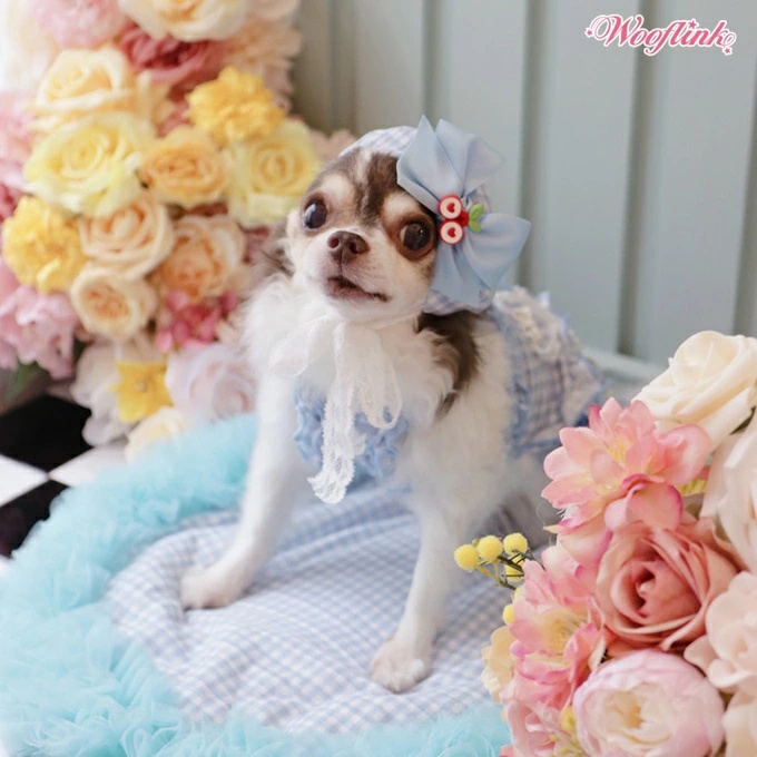 TIARA PETS JAPAN - WOOFLINK ウーフリンク｜Yahoo!ショッピング