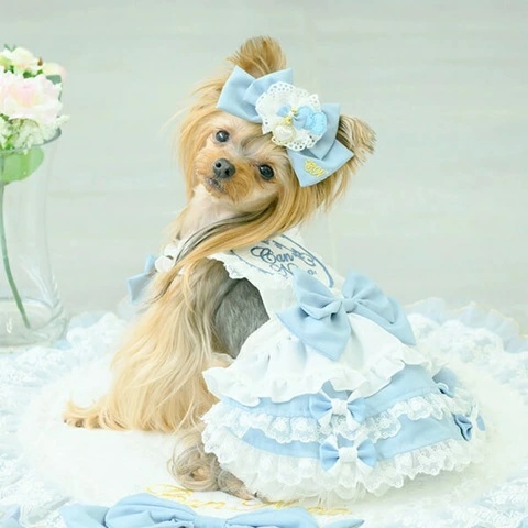 きゃんナナ CanNana アリスエプロンワンピース 1161【小型犬 犬