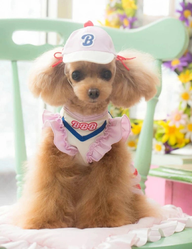 TIARA PETS JAPAN - BUL BU-BU ブルブブ｜Yahoo!ショッピング