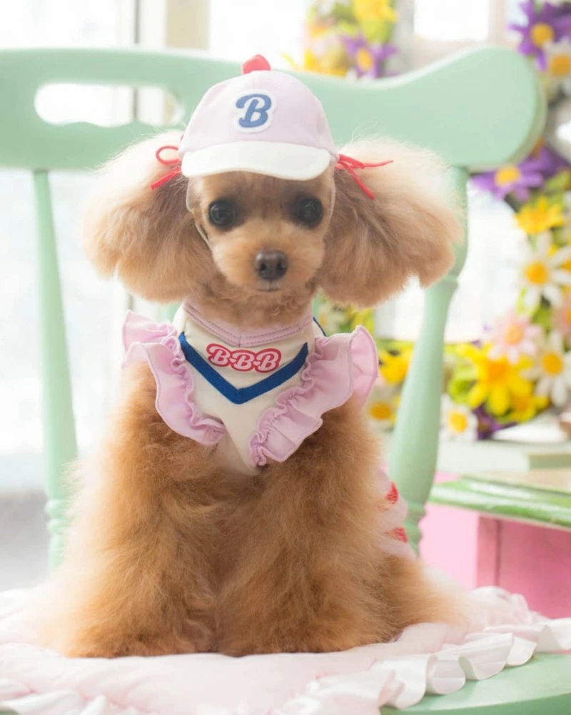 ブルブブ BUL BU-BU チアO/P XXS/XS【小型犬 犬服 ワンピース スカート ドレス セレブ】の画像