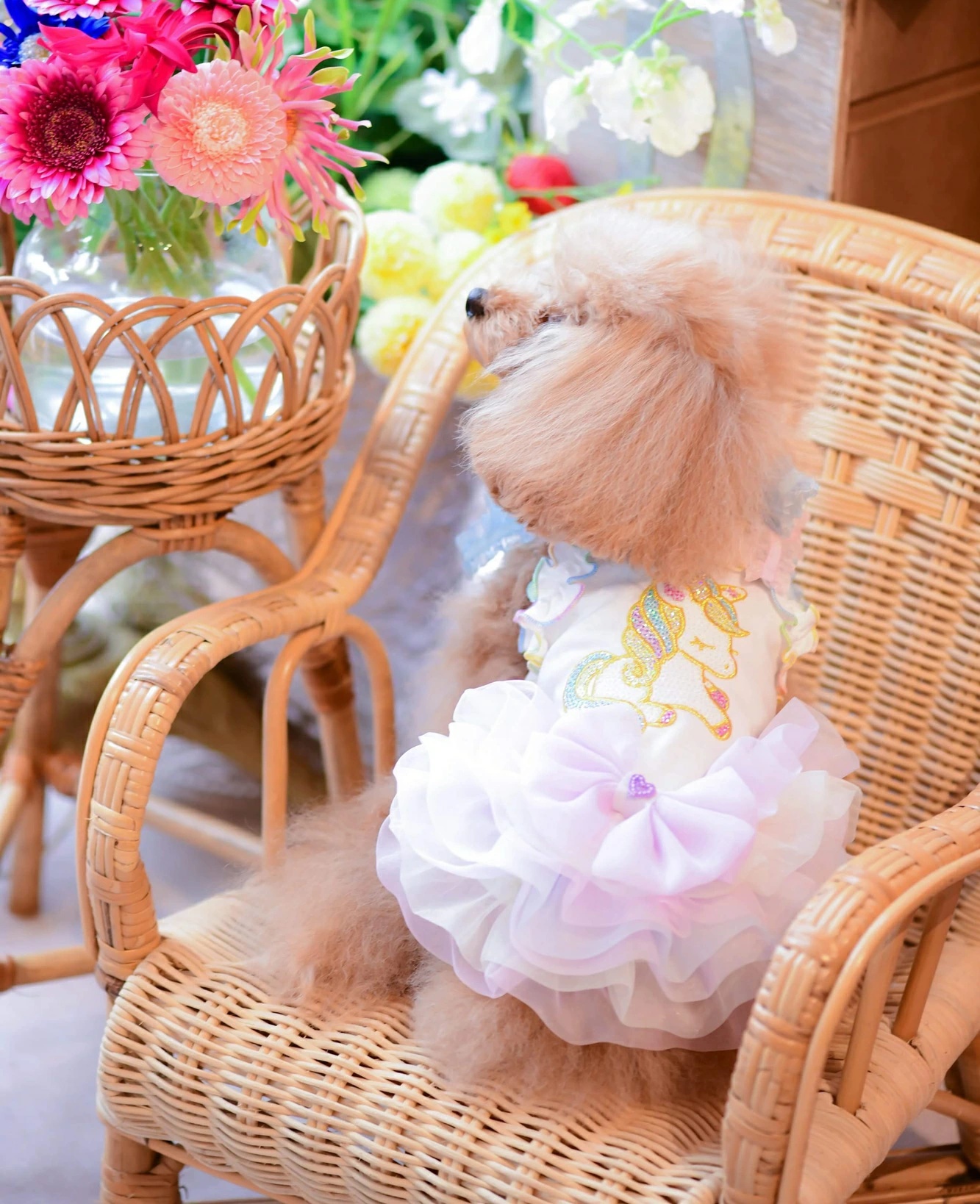 BUL BU-BUブルブブ犬用フリルドレス ピンク SSS ブルブブ BUL BU-BU