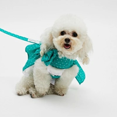 ルイスドッグ louisdog Walk With Me/Dots Garden【小型犬 犬用 ハーネス リード カラー セット セレブ】_6