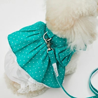 ルイスドッグ louisdog Walk With Me/Dots Garden【小型犬 犬用 ハーネス リード カラー セット セレブ】_7