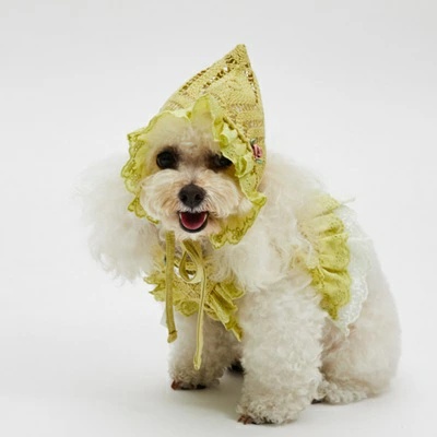 louisdog ルイスドッグのおすすめ人気商品一覧 通販 - Yahoo