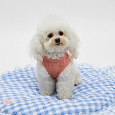 Louisdog ルイスドッグ ハンバーガーブラウス ブルーストライプ 口コミ・レビュー｜Louisdog ルイスドッグ ハンバーガー