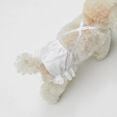 louisdog ルイスドッグのおすすめ人気商品一覧 通販 - Yahoo