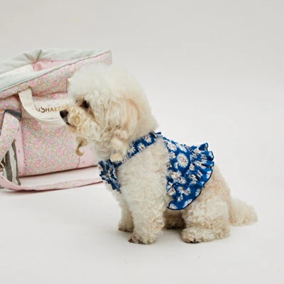 louisdog ルイスドッグのおすすめ人気商品一覧 通販 - Yahoo