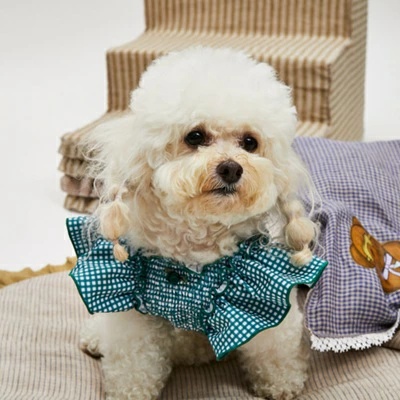 #値下げ　louisdog Boutique  ルイスドッグ　ワンピース　美品 ルイスドッグ louisdog Pool Club/Watermelon Monokini【小型犬